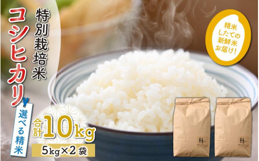 先行予約】【令和5年産新米】特別栽培米 コシヒカリ 5kg×2袋（計10kg