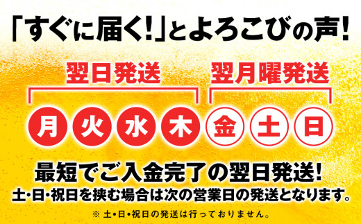 キリンのどごし＜生＞ ＜北海道千歳工場産＞500ml（24本） - 北海道