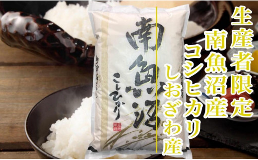 新米予約・令和5年産】定期便６ヶ月：精米2kg生産者限定 南魚沼し