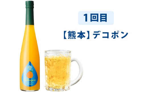 【3ヶ月定期便】九州を飲む！毎月届く九州果実シロップ