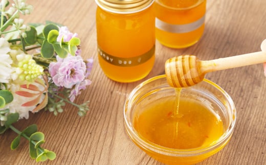日本蜜蜂 の 生ハチミツ たれ蜜・花粉蜜 計300g 蜂蜜 はちみつ ハニーディッパー付き