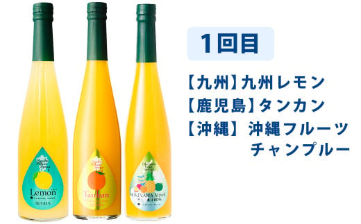 【6ヶ月定期便】九州を飲む！毎月届く九州果実シロップ飲み比べセット