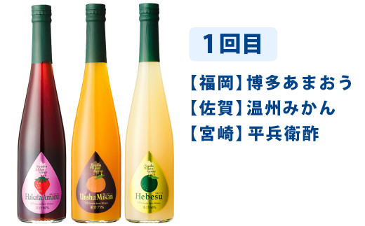 【3ヶ月定期便】九州を飲む！毎月届く九州果実シロップ飲み比べセット