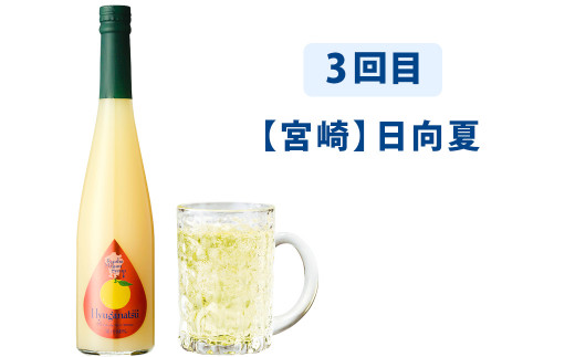 【3ヶ月定期便】九州を飲む！毎月届く九州果実シロップ