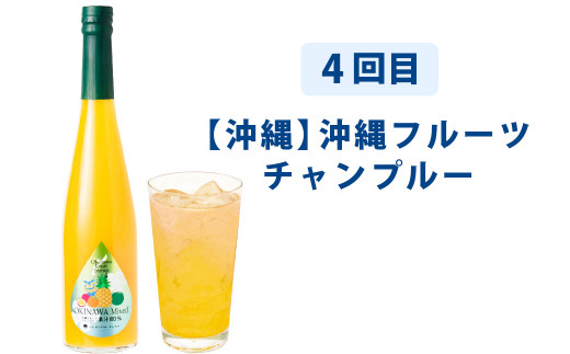【6ヶ月定期便】九州を飲む！毎月届く九州果実シロップ