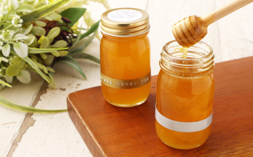 日本蜜蜂 の 生ハチミツ たれ蜜・花粉蜜 計200g 100g×2 蜂蜜 はちみつ ハニーディッパー付き