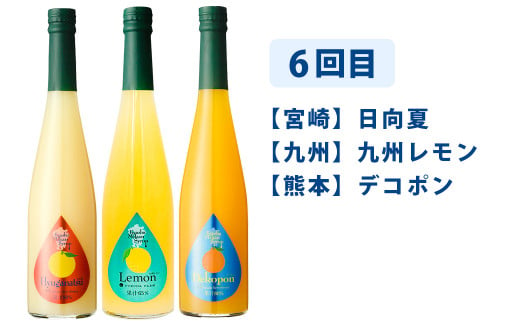 【6ヶ月定期便】九州を飲む！毎月届く九州果実シロップ飲み比べセット
