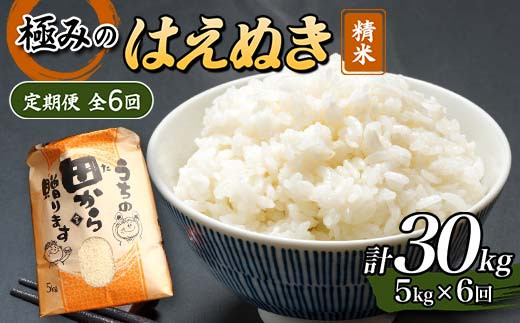 【定期便】令和5年産 極みのはえぬき 5kg（精米）全6回 米 お米 おこめ 山形県 新庄市 F3S-1696