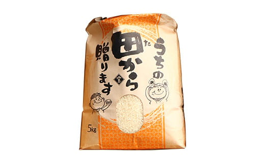 【定期便】令和5年産 漢方栽培 十四代目のササニシキ 5kg（精米）全6回 米 お米 おこめ 山形県 新庄市 F3S-1701