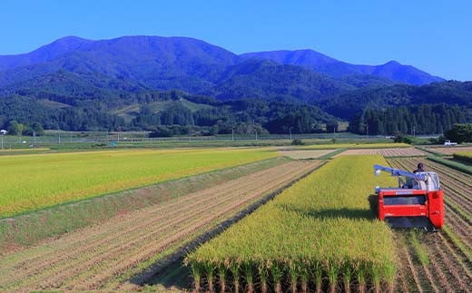 【定期便】令和5年産 極みのはえぬき 5kg×2（精米）全12回 米 お米 おこめ 山形県 新庄市 F3S-1699