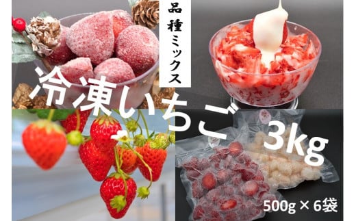 シエルファーム 冷凍いちご 品種ミックス 3kg / 苺 千葉 945767 - 千葉県四街道市