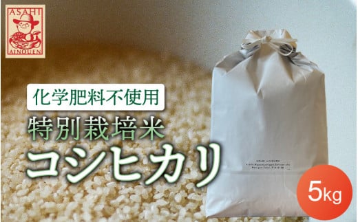 令和5年産 特別栽培米 コシヒカリ 5kg（精米） [e18-a004] 954615 - 福井県越前町
