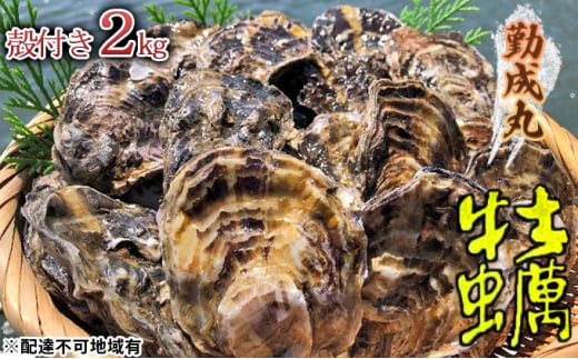 [№5258-0794]勤成丸の牡蠣 殻付き牡蠣 2.0kg 954085 - 兵庫県姫路市