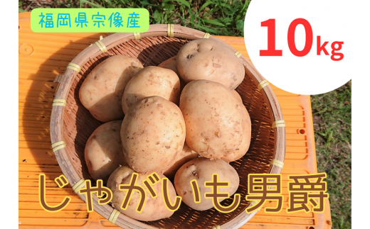 循環型有機肥料で育った男爵いも　10kg【アグリCATS】_HA1349