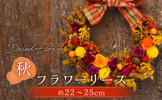 【ドライフラワー】秋のフラワーリース 直径：約22～25cm