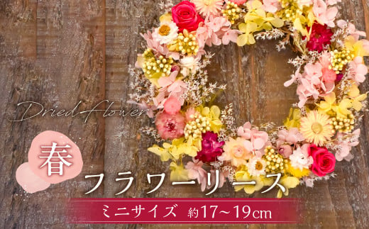 【ドライフラワー】春のフラワーリース ミニサイズ 約17～19cm 
