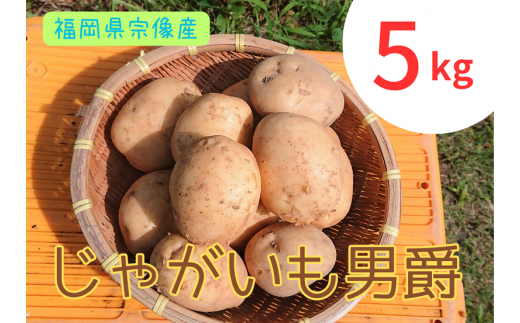 循環型有機肥料で育った男爵いも　5kg【アグリCATS】_HA1350