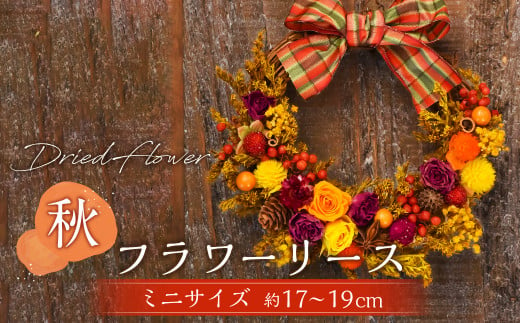 【ドライフラワー】秋のフラワーリース ミニサイズ 約17～19cm
