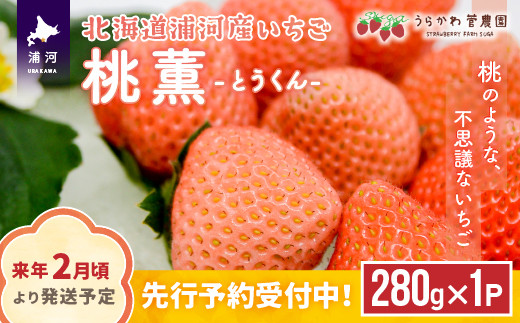 【来年2月頃より発送！】北海道浦河産いちご「桃薫」280g×1P[13-279]