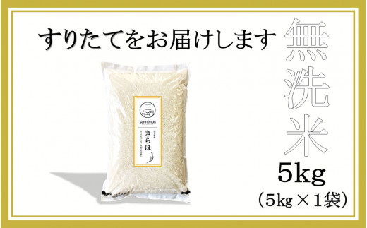 甘くてもっちり 冷めても美味しいお米「きらほ」乾式無洗米 5kg 令和5年産
