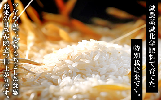 ■コシヒカリ 白米 ２５キロ 無農薬　無肥料栽培 岡山県 棚田 標準米　おまけ付