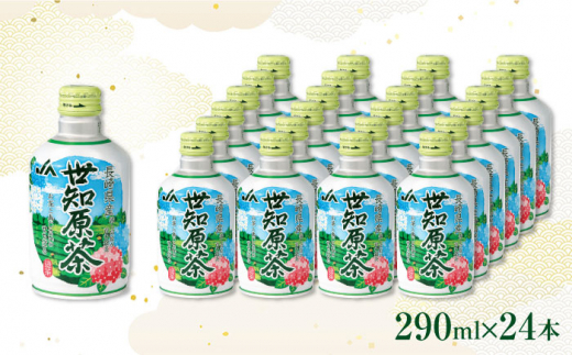 世知原茶 290ml×24本 長崎県/長崎県農協直販 [42ZZAA028] 缶 ドリンク 飲料 茶 お茶 おちゃ 飲み物 JA  アルミボトル|長崎県農協直販