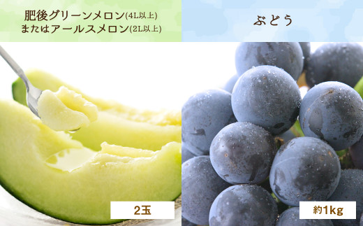 【定期便4回】厳選 フルーツ 便  ( メロン ぶどう 梨 いちご ) 