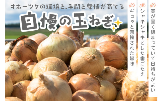 2024年10月中お届け】北海道北見産 玉ねぎ 20kg ( 玉ねぎ 野菜