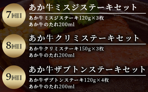【定期便12回】あか牛ステーキ 12種 極上 食べ比べ！ 