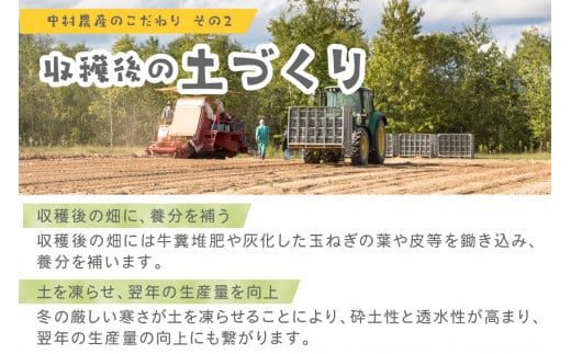 北海道北見市のふるさと納税 【2025年2月中お届け】《人気急上昇中！》北海道北見産 玉ねぎ 20kg ( 玉ねぎ 野菜 たまねぎ タマネギ 玉葱 甘い 20キロ ハンバーグ 肉じゃが ふるさと納税 玉ねぎ )【002-0005-2024】