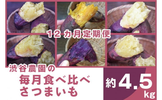 BZ-21 【12ヶ月定期便】渋谷農園の毎月食べ比べさつまいも 約4.5kg 252014 - 茨城県行方市