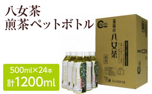 八女茶 煎茶ペットボトル 500ml×24本 259317 - 福岡県田川市