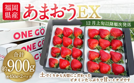 2023年12月上旬より順次発送】ギフト配送 福岡県産あまおう EX 約450g