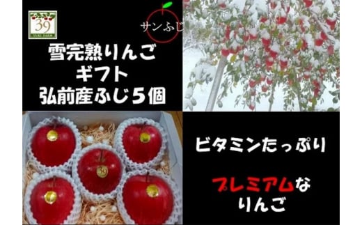 りんご 【 数量限定 】1～3月発送 雪完熟りんご 最高等級 糖度13度以上 「特選」弘前市産 サンふじ 約 2kg 5個入り【 弘前市産 青森りんご 】 684416 - 青森県弘前市