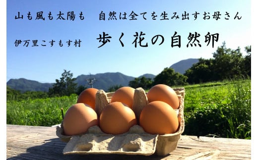伊万里こすもす村　歩く花　たまご　卵　６個入り×２箱 B529 965639 - 佐賀県伊万里市