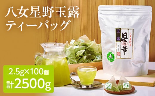 八女茶 煎茶ティーバッグ3g 200個（100個×2袋）【A5-384】 - 福岡県