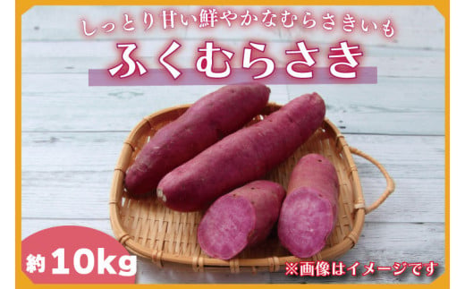 2024年度産 しっとり甘い鮮やかな紫いも 『ふくむらさき』約10kg(BZ-35) 599459 - 茨城県行方市