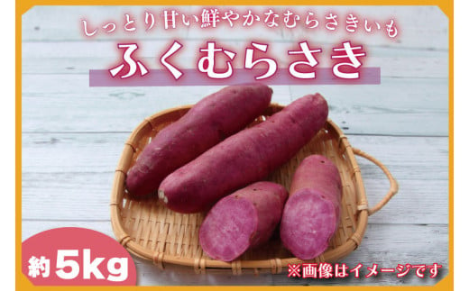 2024年度産 しっとり甘い鮮やかな紫いも 『ふくむらさき』約5kg(BZ-36) 602724 - 茨城県行方市