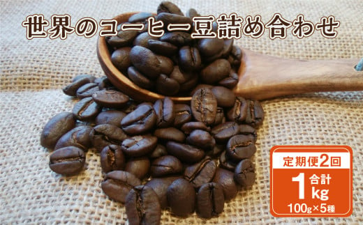 [2ヶ月定期便]世界のコーヒー豆詰め合わせ 500g (100g×5種) コーヒー 珈琲 豆 セット