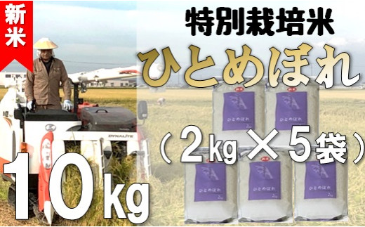 【令和5年産・精米】米蔵いいの特別栽培米ひとめぼれ10kg（2kg×5袋）|飯野　憲