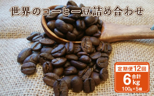 【12ヶ月定期便】世界のコーヒー豆詰め合わせ 500g(100g×5種)
