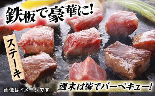 佐賀県吉野ヶ里町のふるさと納税 牛肉の女王様【希少部位ヒレ】味に自信あり！名物お肉店の佐賀牛ヒレ サイコロステーキ480g 吉野ケ里町[FCV001]