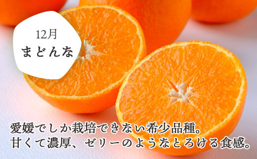 高級素材使用ブランド 訳あり 黄金柑(S〜2L)&清見10㎏ その他