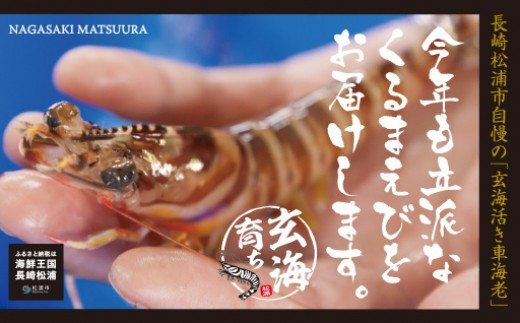 アイテムID:463222の画像3枚目