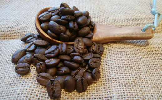 【隔月4回定期便】世界のコーヒー豆詰め合わせ 500g(100g×5種)