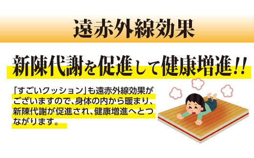 d-21 岩盤浴ホルミシスシートクッション - 大分県玖珠町｜ふるさと