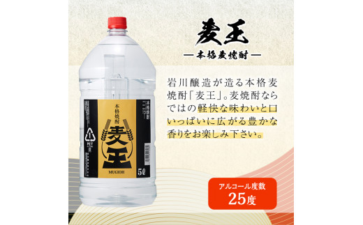 岩川醸造 本格麦焼酎 麦王〈麦〉 (5L×4本・計20L) お酒 焼酎 麦焼酎