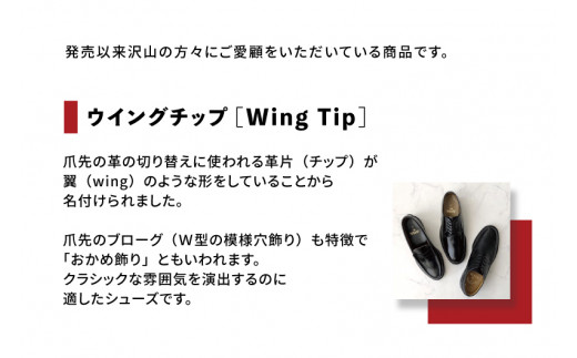 【極美品】REGAL　リーガル　2589　ウイングチップ　ブラック靴/シューズ