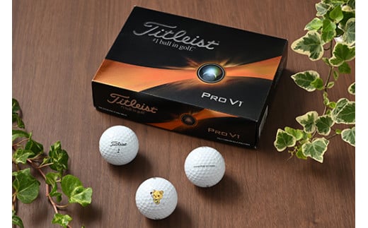 つちまる君 2023 タイトリスト PRO V1 ホワイト ゴルフボール 1ダース（12球入り）※着日指定不可