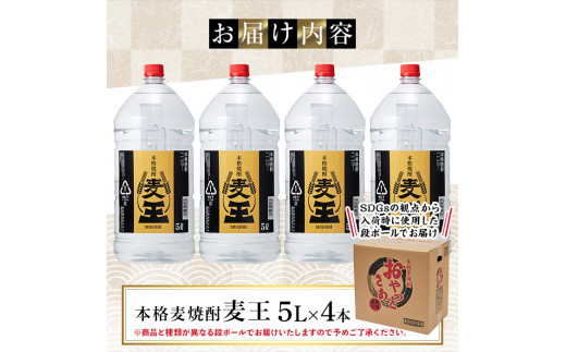 岩川醸造 本格麦焼酎 麦王〈麦〉 (5L×4本・計20L) お酒 焼酎 麦焼酎